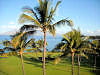 Kihei Surfside unit 611 view of the immaculate lawn